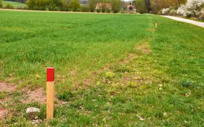 Blog -MJM Surveying What Is a Boundary Survey? A Simple Guide for Lake Macquarie & Newcastle Property Owners